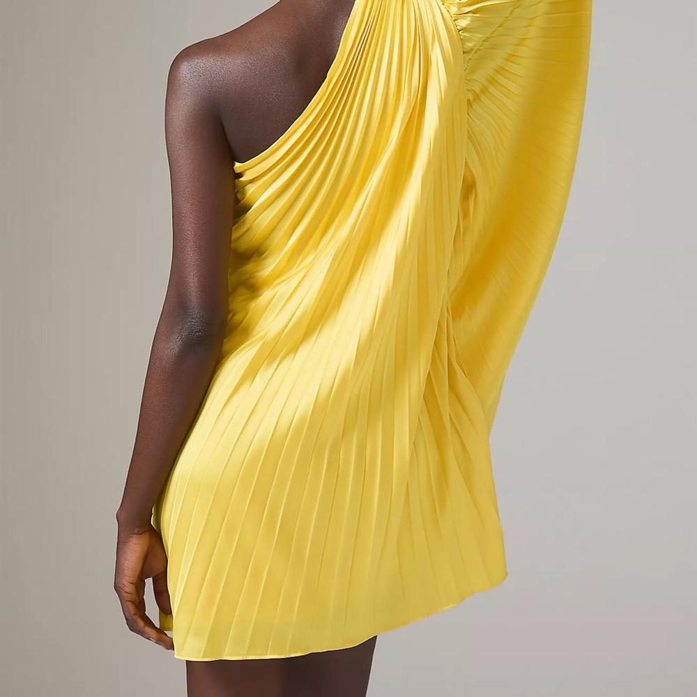 Hutch One-Shoulder Pleated Mini Dress - Picture 12 of 13